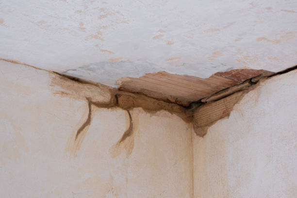 Best Emergency water damage restoration  in Lake Lifornia, CA