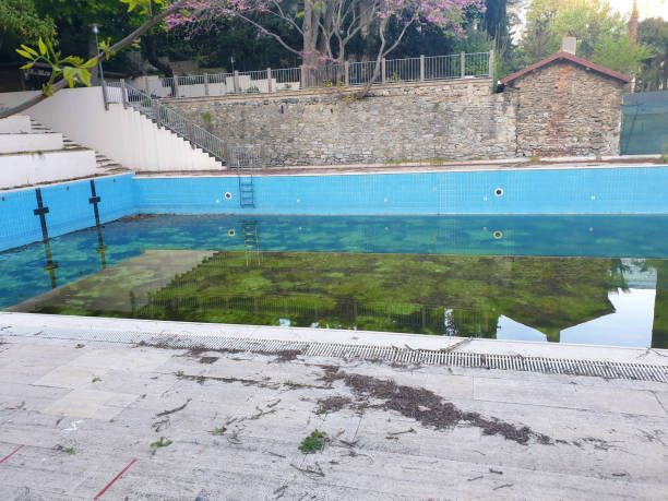 Best Flood restoration services  in Lake Lifornia, CA