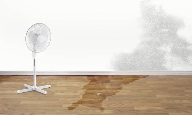 Best 24/7 water damage repair  in Lake Lifornia, CA