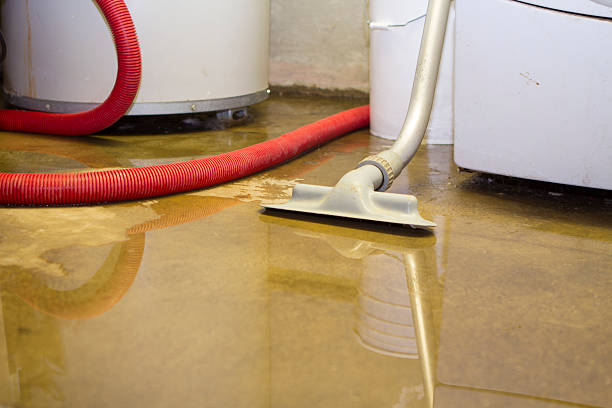 Best Mold removal after water damage  in Lake Lifornia, CA