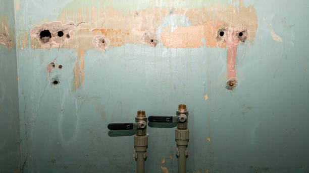 Best Professional water damage repair  in Lake Lifornia, CA