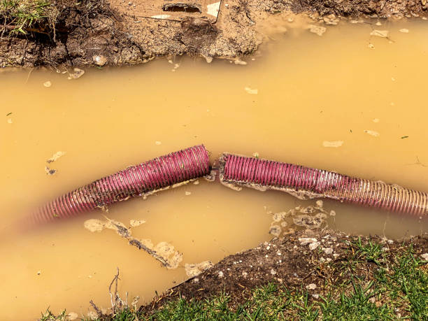 Best Water damage cleanup near me  in Lake Lifornia, CA