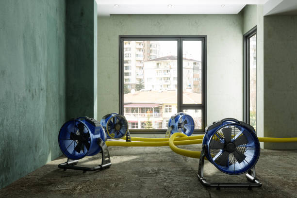 Best Water damage mitigation services  in Lake Lifornia, CA