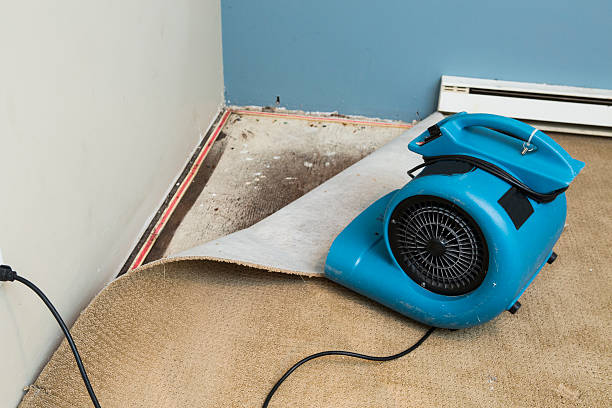 Best Water damage contractors near me  in Lake Lifornia, CA